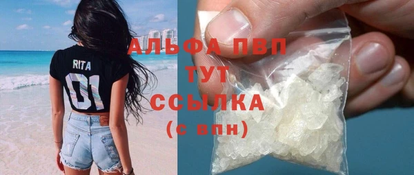 сатива Белоозёрский