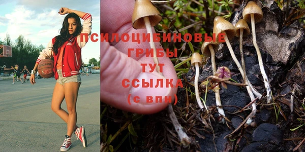 молекула духа Беломорск