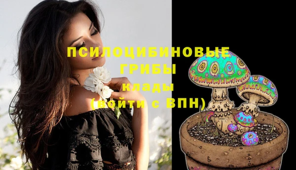 молекула духа Беломорск