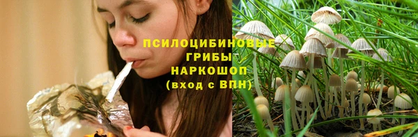 сатива Белоозёрский