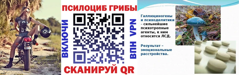 Галлюциногенные грибы мухоморы KRAKEN ссылки Павловск